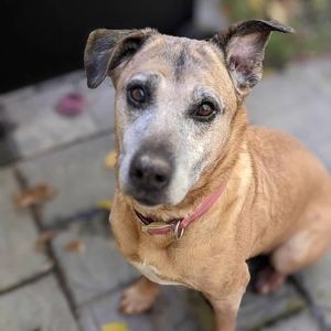 Meet your Posher, Lori